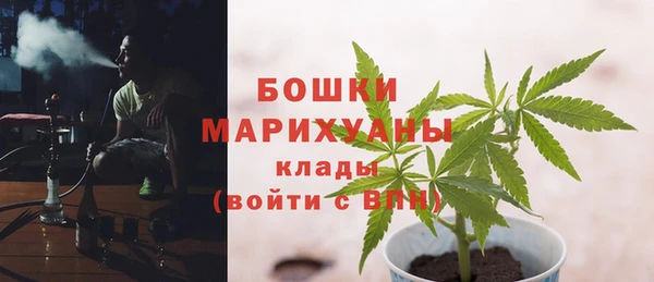 ECSTASY Бронницы