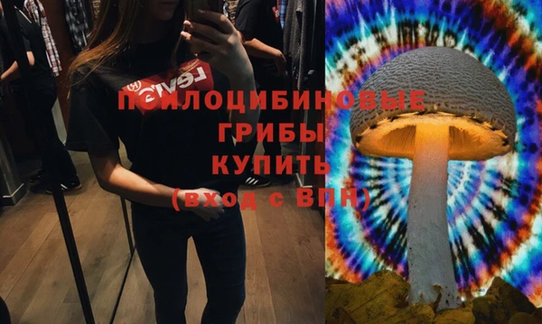 ECSTASY Бронницы