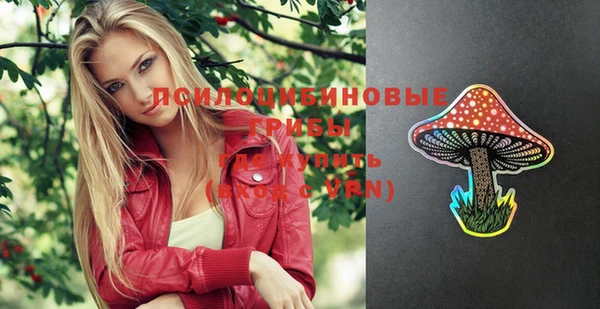 спиды Бородино