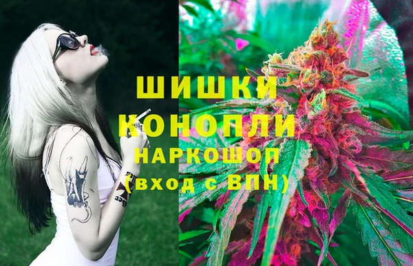 спиды Бородино