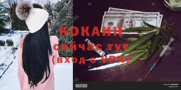 спиды Бородино