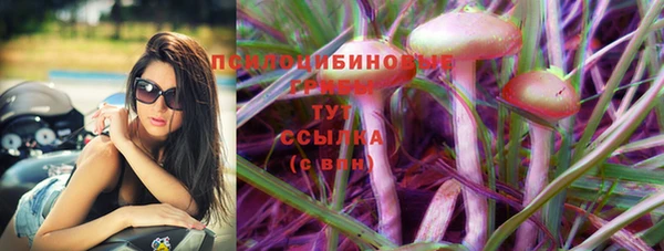 ГАЛЛЮЦИНОГЕННЫЕ ГРИБЫ Бугульма