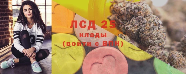 ГАЛЛЮЦИНОГЕННЫЕ ГРИБЫ Бугульма