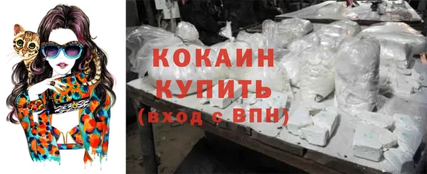 спиды Бородино