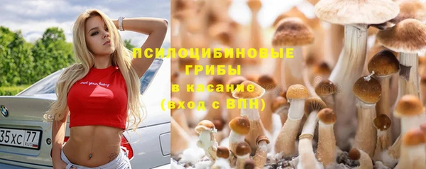 ГАЛЛЮЦИНОГЕННЫЕ ГРИБЫ Бугульма