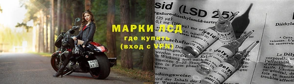 ECSTASY Бронницы